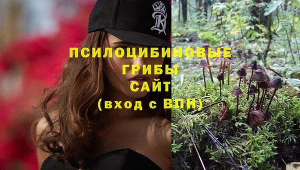 твердый Кукмор