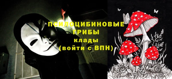 гидропоника Куйбышев