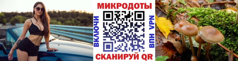 Галлюциногенные грибы мицелий  Купить где  Алупка 