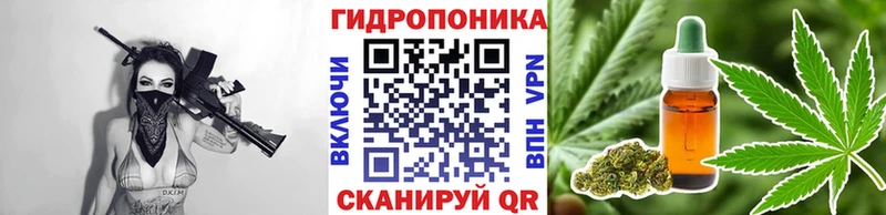Купить закладки  Алупка  Канабис планчик 